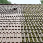 What Is Soft Wash Roof Cleaning